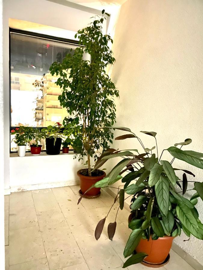 Naki Apartman Apartment พอดโกริกา ภายนอก รูปภาพ